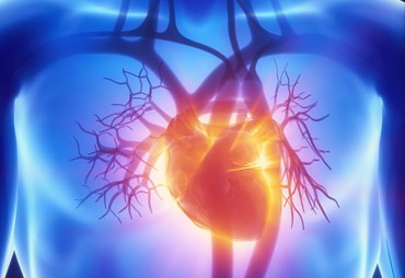 Hypertrophic cardiomyopathy